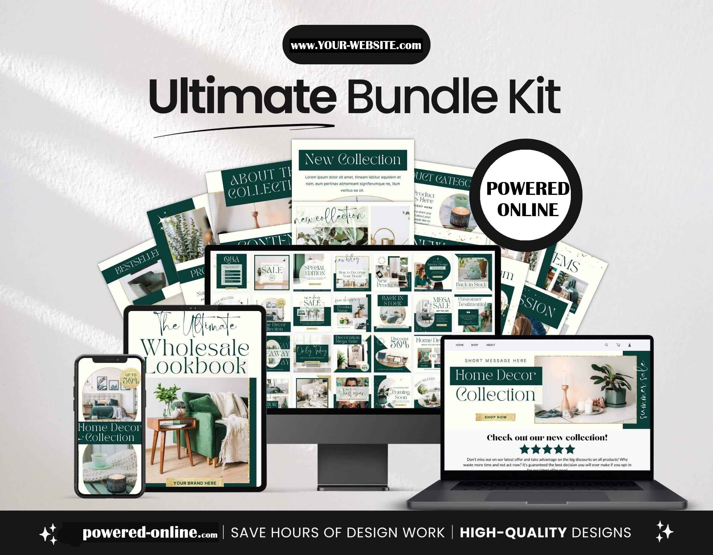 Professional Web Development Screenshot - Modern Website Design Interface